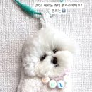 생모상회
