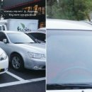 녹색의향기더카페반구점 이미지