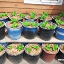 빠꾸네 당구클럽 이미지