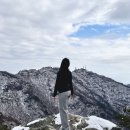 신원사 | 대전 겨울 등산, 계룡산 등산 왕복 3시간 갑사 코스 후기(신원사 출발)