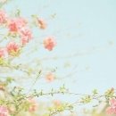부라더소잉팩토리 - 성남시 분당구 동판교로52번길 22-9 | 부라더소잉팩토리
