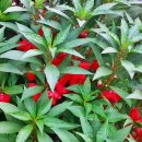 가좌근린공원 이미지