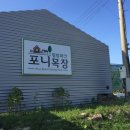 정든목장 이미지