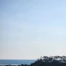 삼정리224 이미지