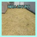 간석광명아파트 | 영종 테라스 잔디관리 아파트 빌라 주택 잡초제거 예초작업 전문업체