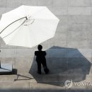 경보사슴 연합뉴스