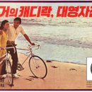 대영상사주식회사 이미지