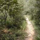 늠내길3코스 옛길 이미지