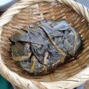 정만경 이미지
