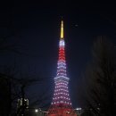 ㈜리얼투어데스크 | 🇯🇵 도쿄 셋째 날 | 내돈내산 마이리얼트립 일요일 후지산 투어 | 야키토리 꼬치 거리 | 시바공원에서...