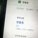 아물다 이미지