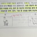 Re: 기출 과학 2022년 B8 브루너 표상양식 이미지