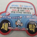 놀뫼세탁소 네이버블로그