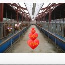 나라농장 이미지