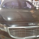 박 CARS 이미지