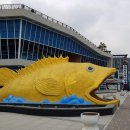 다누리센터 아쿠아리움 이미지