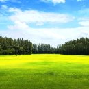 현충원로(유성-18) 이미지