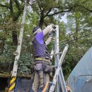 노안농장 이미지