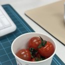 봄봄약국 | 임신 극초기 증상부터 10주차증상