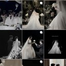 논현2동-4 | W-3. 본식 아이폰스냅 내돈내산 계약후기 -무아르스냅MUAR SNAP(짝꿍코드 마감)