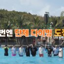 워터매니저 이미지