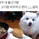 더민카페