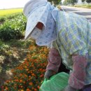 학림경로당 이미지