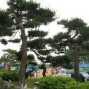 내일은 내일에게 이미지