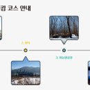 하이원 팰리스호텔 이미지