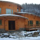 뜨락의아침 이미지