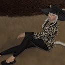 아쿠아폴리스 이미지