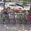 장미공원자전거대여소 이미지