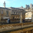 로만바스 이미지