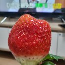 아라미카페 이미지