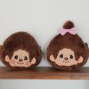 뽀글뽀글 이미지