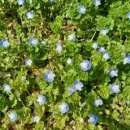 시크릿 펜션 이미지