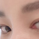 애리속눈썹