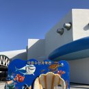 효자네수산 이미지