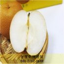 봉기농장 이미지