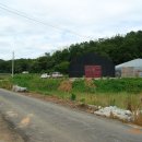 벌말주유소 이미지