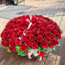 꽃나라，나무나라