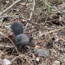 해솔농장 | 25년 막바지 feat. 올라가보자