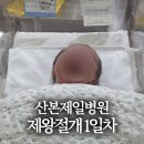 산본제일병원 앞 건널목 | 산본제일병원 제왕절개 1일차 입원 후기 진형수 부원장님