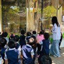 바다의별유치원 이미지