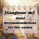 해뜨는펜션 이미지