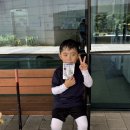 하키솔루션