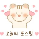 익산 고양이카페 아이캣유 네이버블로그