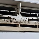 가마산로46길 | 올여름, 우리 집 냉방기 속 곰팡이 습격에 깜짝 놀란 이야기