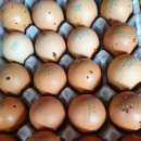 송림황토참숯굴찜질방 이미지