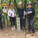 대전둘레산길(8구간) 이미지